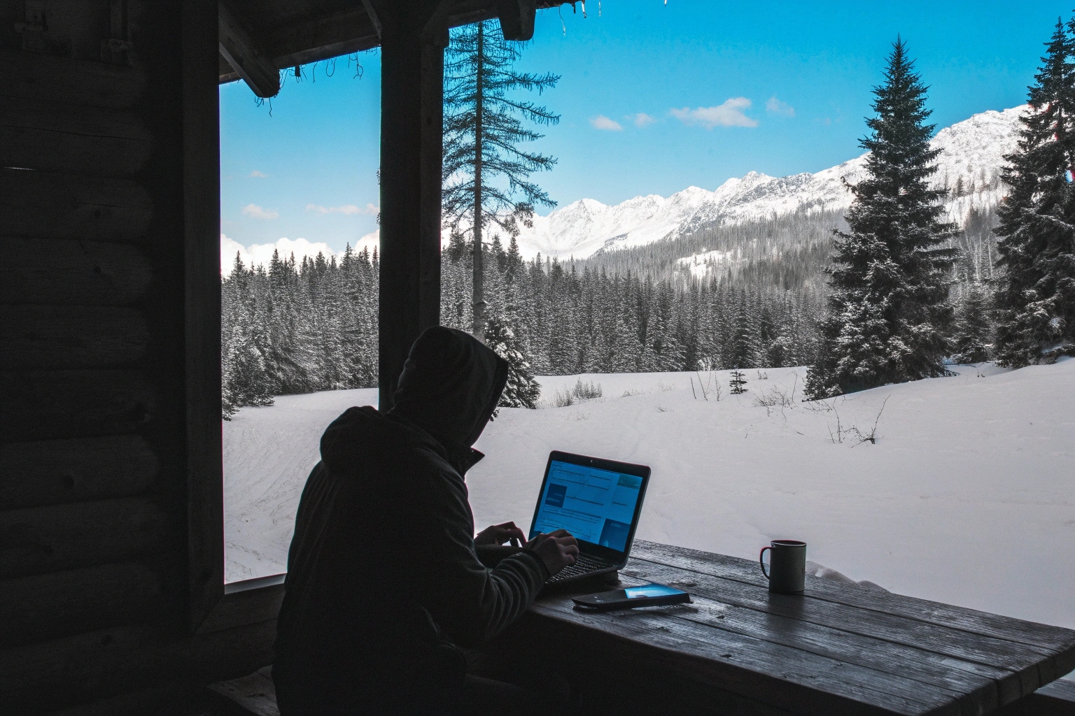 A person viewing footage from an SD card on a laptop in a rural setting