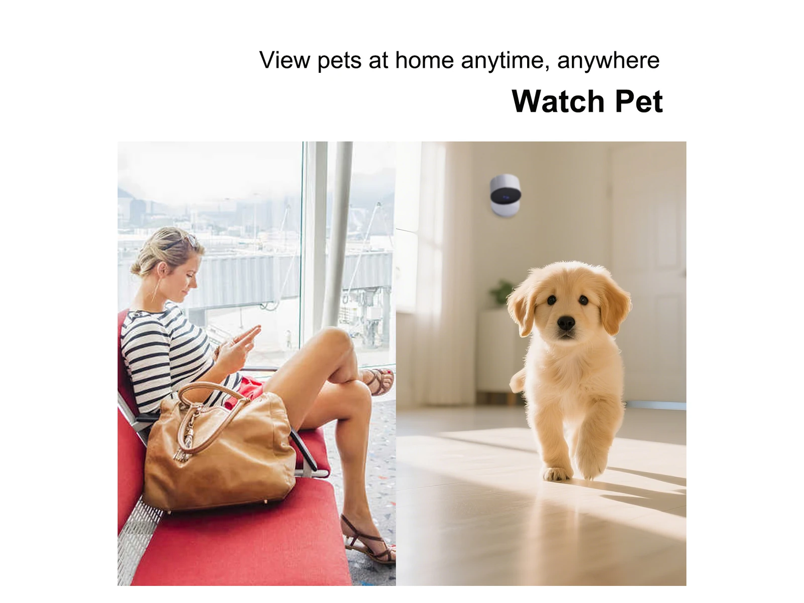 C11 compact indoor camera pet monitoring scene
