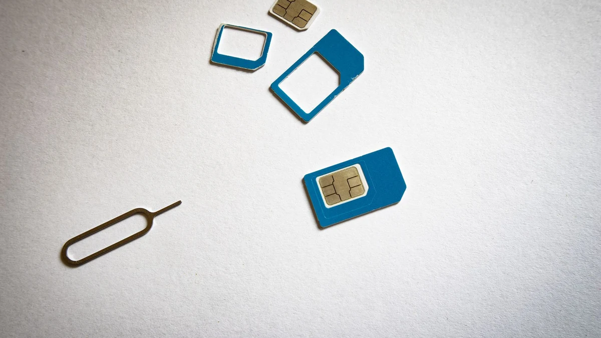 SIM cards and ejector tool arranged on a white surface