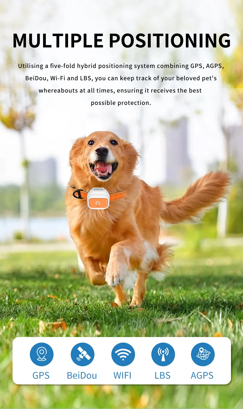 G01 pet tracker on a dog with GPS, A-GPS, Wi-Fi and LBS positioning modes