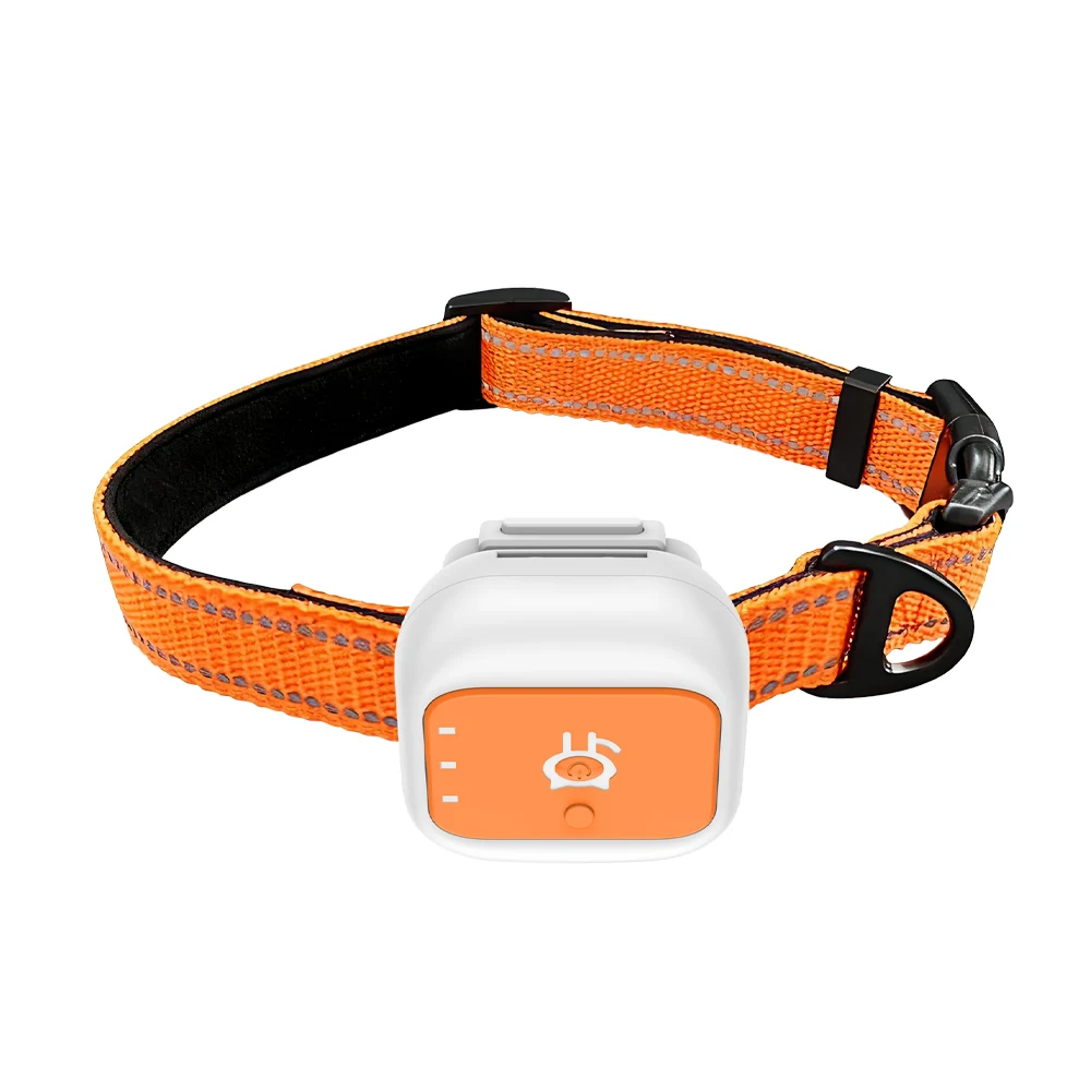 G01 tracker fitted to orange pet collar, side view
