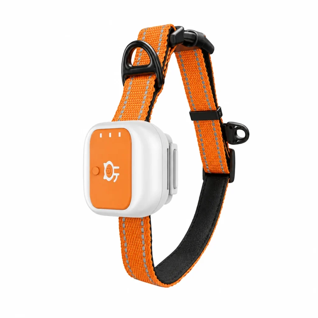 Traceur GPS 4G pour collier d'animaux avec application 365GPS