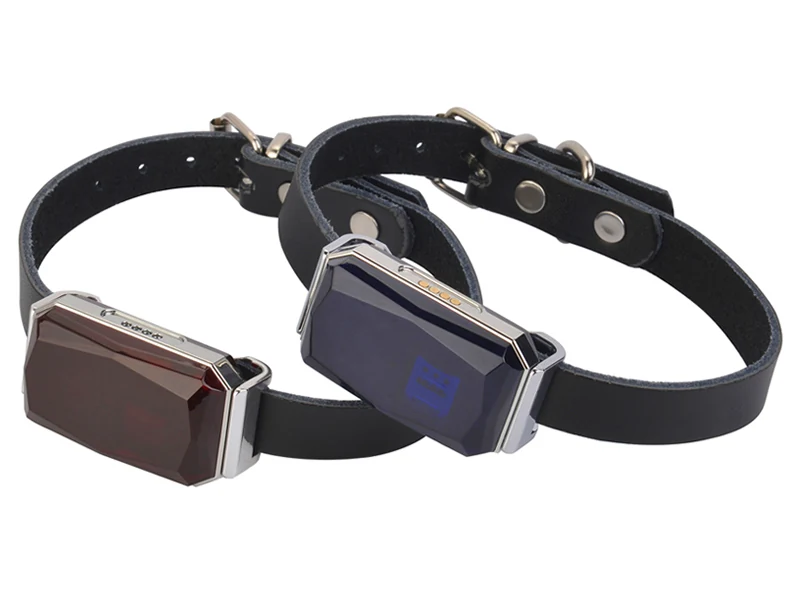 G12 pet GPS tracker fitted to a collar strap