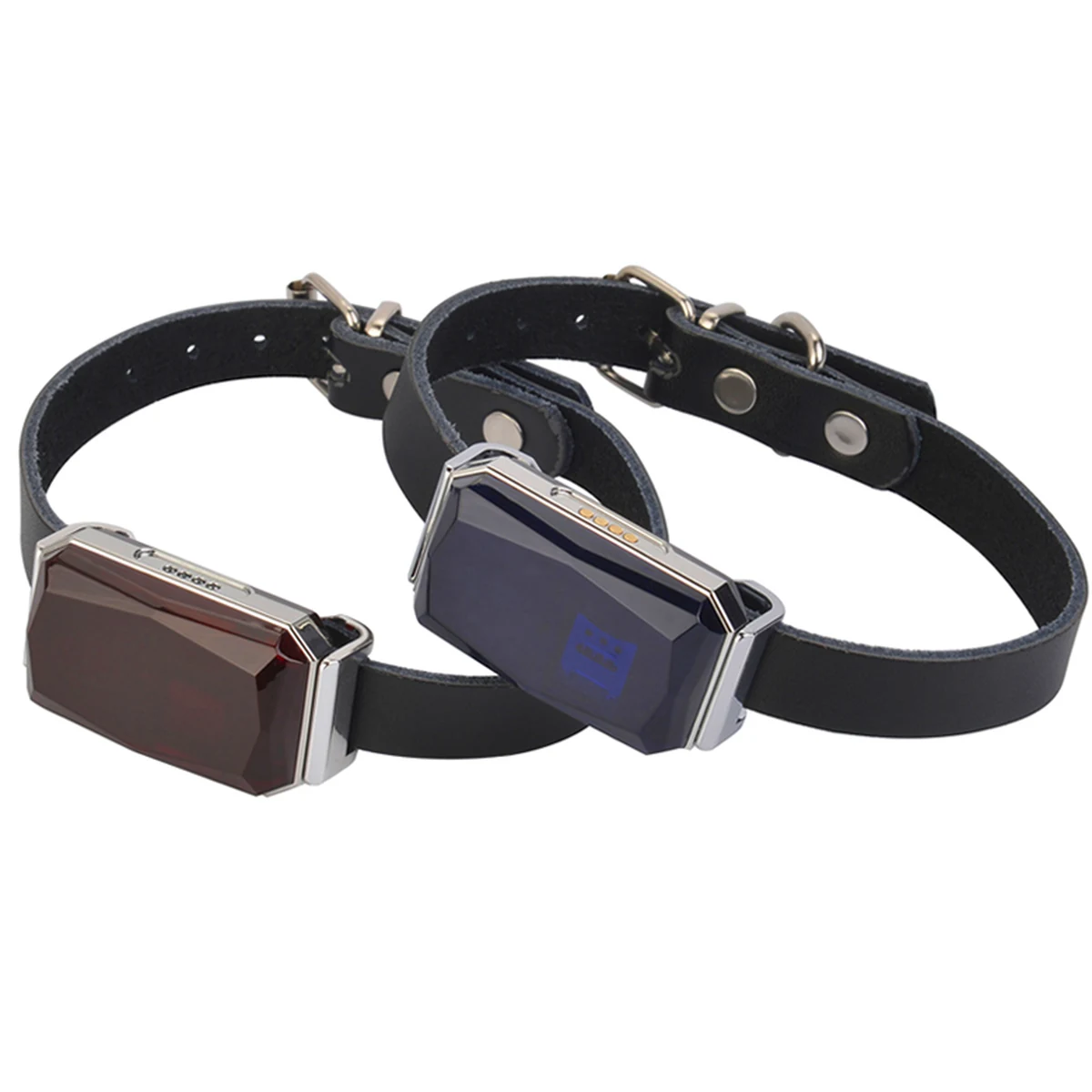 G12 trackers fitted to black pet collar straps in two housing colors