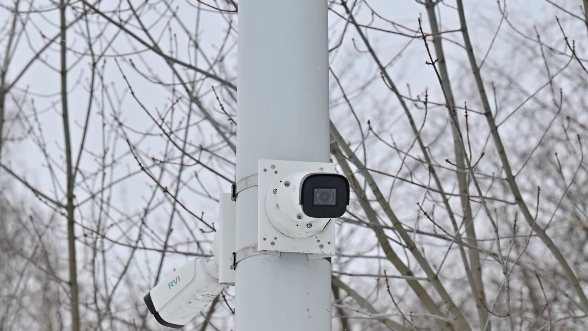 Outdoor camera mounted on a pole above trees